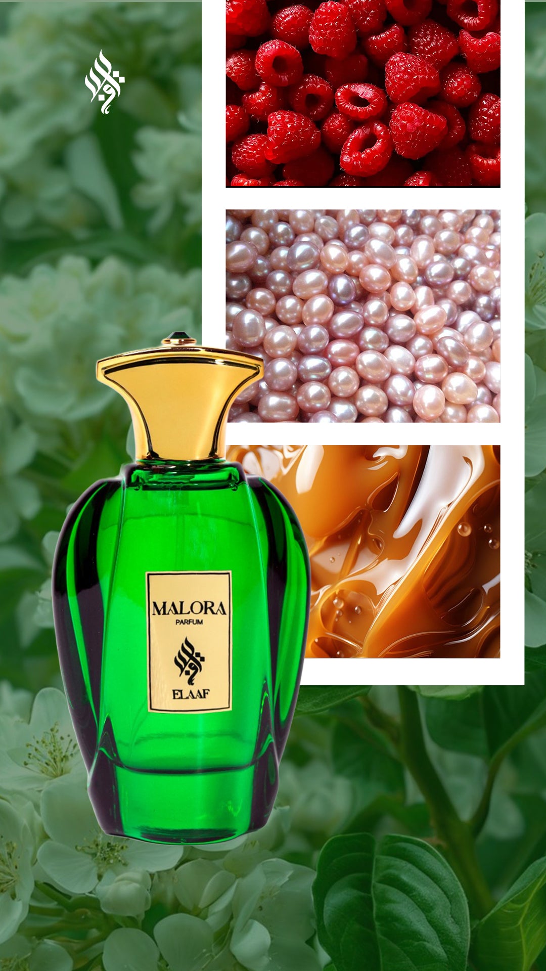 Elaaf's Malora - Eau de Parfum